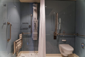 Haven Courtyard Penthouse Wheelchair (H5)