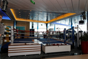 Fitness-Center: Box-Ring