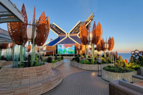 Rooftop Garden
