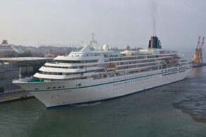 Amadea