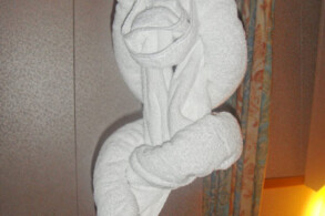 Balkonkabine 7592 - Handtuch-Tier