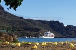 Aranui 5