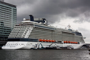 Celebrity Reflection