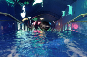 Wasser-Rutsche Aqua Racer