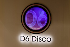 Disco D6
