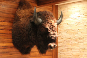 Buffalo Steak House