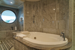 Vista Suite 10000