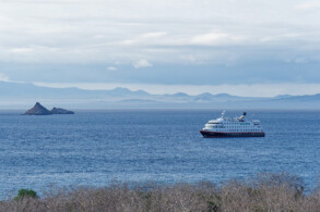 Santa Cruz II