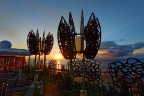 Rooftop Garden