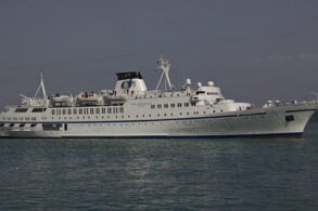 Arion