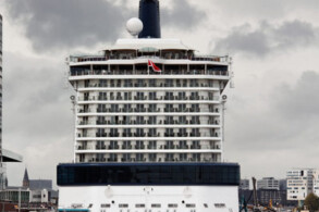 Celebrity Reflection