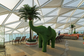 Solarium