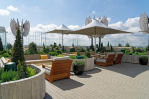 Rooftop Garden