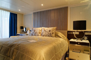 Penthouse Suite 917