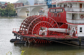 Paddlewheel