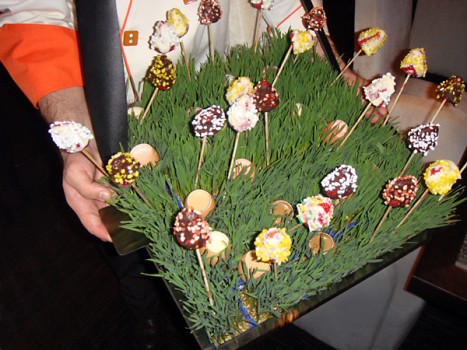 Geniale Präsentation: Schokofrüchte und Creme Brulee