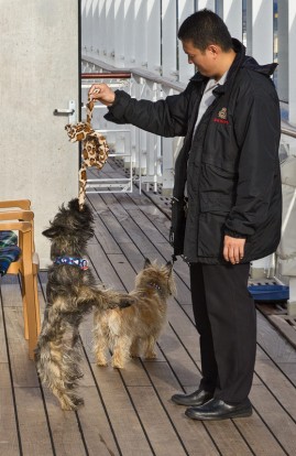 Hunde-Entertainment auf der Queen Mary 2