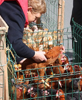 Ausflug zum Hühner-Markt in Louhans (Bresse)