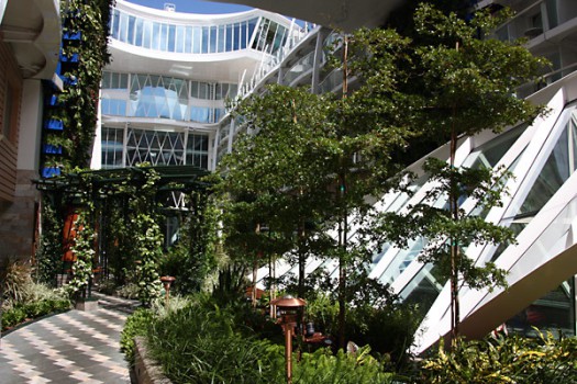 Einige neue Bäume im Central Park