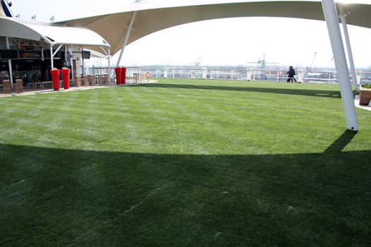 Echter Rasen auf der Celebrity Eclipse