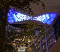 Lichtinstallation im Central Park