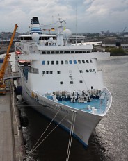 Delphin Voyager