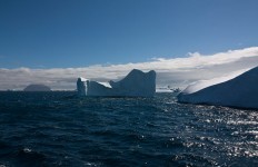 Eisberge in der Weddell Sea