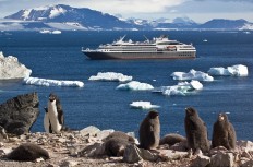 L'Austral vor Devil Island