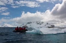 Zodiac-Ausflug in Paradise Bay