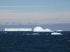 Eisberge in der Weddell Sea