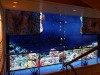 virtuelles Aquarium im vorderen Treppenhaus