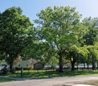 Nauvoo - Smith Family Property