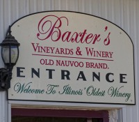 Baxters Vinyards