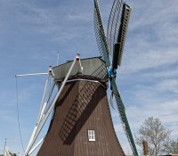 De Immigrant Windmill