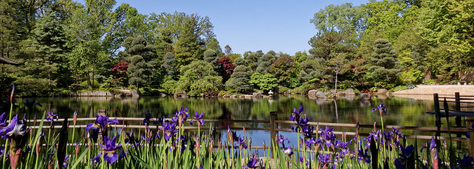 Anderson Japanese Garden