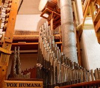 Orgel-Pfeifen und Percussion