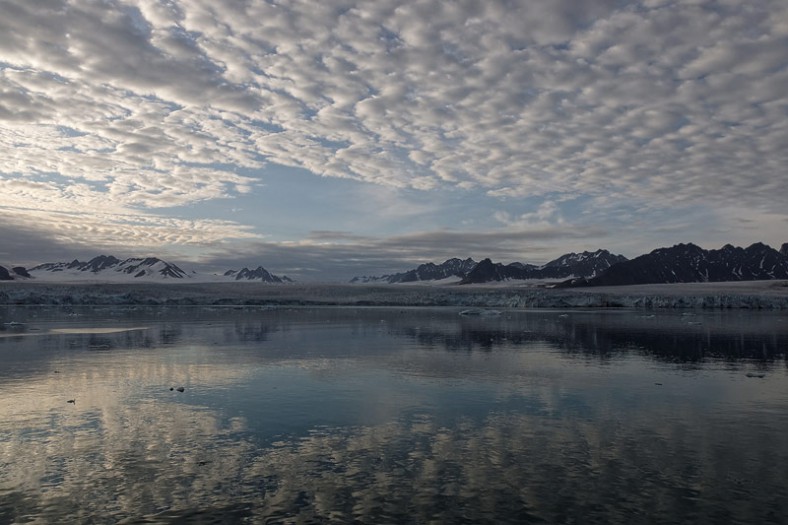 Lilliehöökfjord