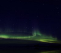 Nordlichter im Kong Oscar Fjord