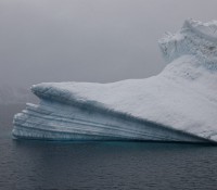 Eisberge im Öfjord
