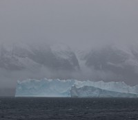 Eisberge im Öfjord