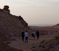 Wadi-Wanderung auf Sir Bani Yas Island