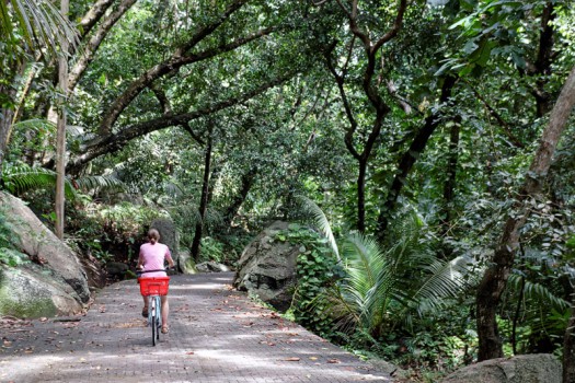 mit dem Fahrrad durch den Urwald La Digues