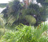 Regen-Tag in La Digue
