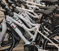 Mit dem Ebike machte eine andere Gruppe eine Stadtrundfahrt durch Southampton und besuchte den New-Forest-Nationalpark