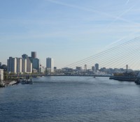 Die Erasmusbrücke über die Neue Maas