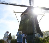 Fotostop vor den Toren Amsterdams, natürlich muss die Windmühle sein