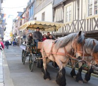 Der Innenstadtbereich läßt sich auch mit der Pferdekutsche erkunden
