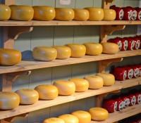 Und Käse aus Gouda und Maastricht