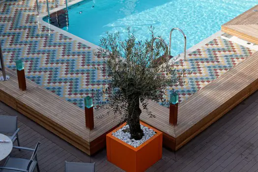 Seaview Pool mit Olivenbaum