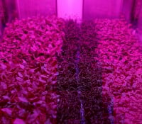 Culinary Art's Center